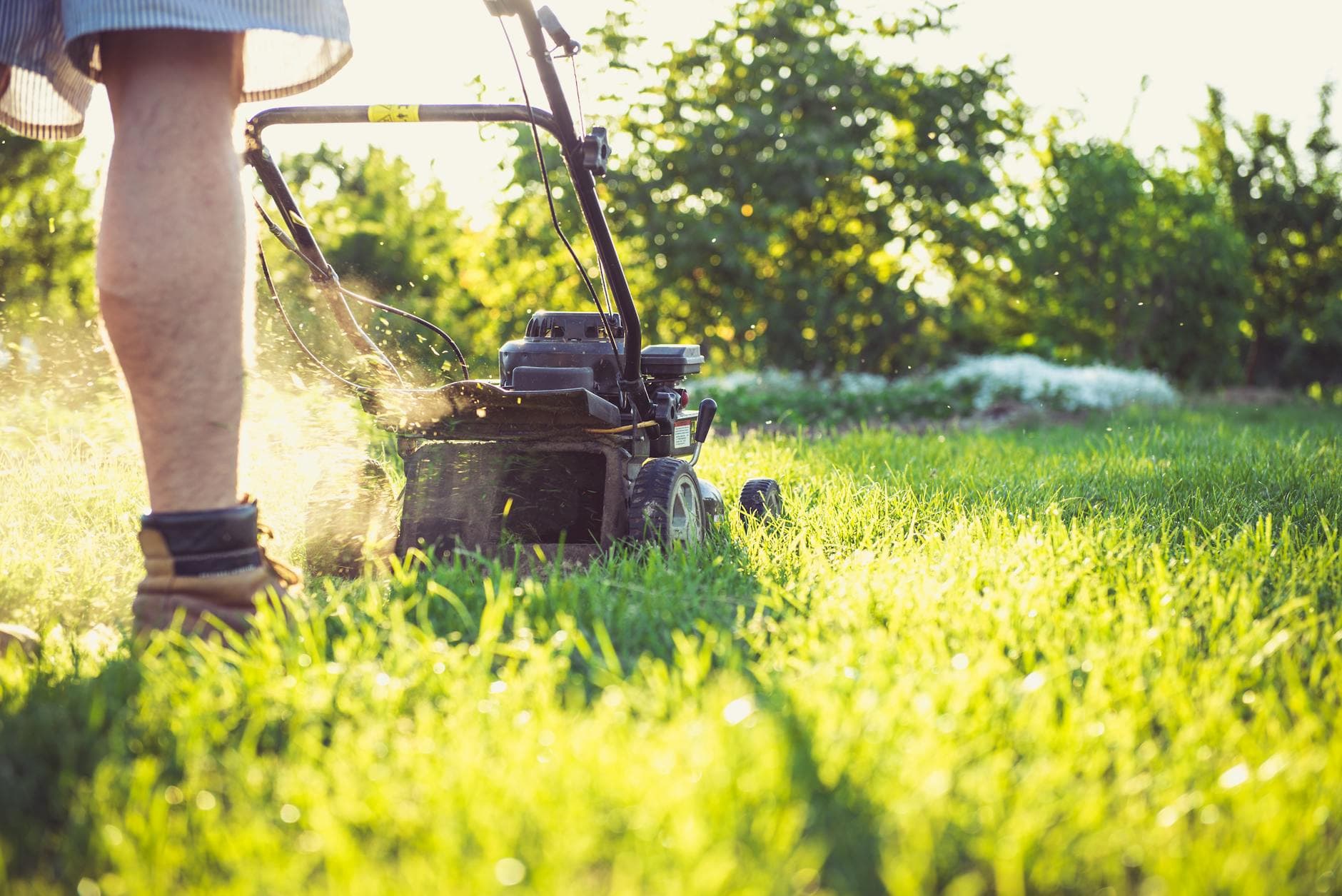 Meticulous Gardening